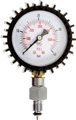 Cressi Gauge for Saetta